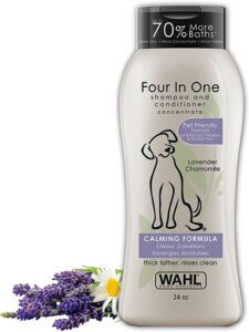 Best Conditioner Poodle