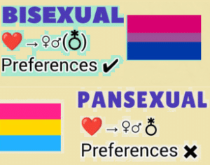 Bisexuality and pansexuality