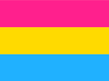 bisexaulity and pansexuality